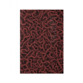 Обложка для паспорта матовая кожа с принтом Сколопендры в Екатеринбурге, натуральная матовая кожа | размер 19,3 х 13,7 см; прозрачные пластиковые крепления | centipede | многоножка | насекомые | паттерн | сколопендра | сороконожка | текстура