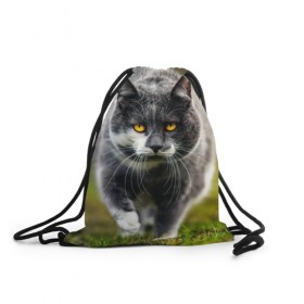 Рюкзак-мешок 3D с принтом Котэ в Екатеринбурге, 100% полиэстер | плотность ткани — 200 г/м2, размер — 35 х 45 см; лямки — толстые шнурки, застежка на шнуровке, без карманов и подкладки | Тематика изображения на принте: глаза | киска | кот | котёнок | кошка | усы