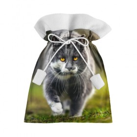 Подарочный 3D мешок с принтом Котэ в Екатеринбурге, 100% полиэстер | Размер: 29*39 см | Тематика изображения на принте: глаза | киска | кот | котёнок | кошка | усы