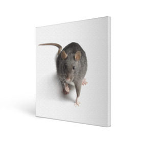 Холст квадратный с принтом Крыса в Екатеринбурге, 100% ПВХ |  | животные | крыса | мышка | мышь