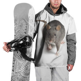 Накидка на куртку 3D с принтом Крыса в Екатеринбурге, 100% полиэстер |  | животные | крыса | мышка | мышь