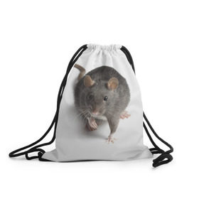 Рюкзак-мешок 3D с принтом Крыса в Екатеринбурге, 100% полиэстер | плотность ткани — 200 г/м2, размер — 35 х 45 см; лямки — толстые шнурки, застежка на шнуровке, без карманов и подкладки | животные | крыса | мышка | мышь