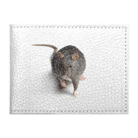 Обложка для студенческого билета с принтом Крыса в Екатеринбурге, натуральная кожа | Размер: 11*8 см; Печать на всей внешней стороне | животные | крыса | мышка | мышь