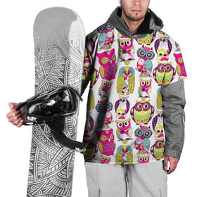 Накидка на куртку 3D с принтом Совы в Екатеринбурге, 100% полиэстер |  | абстракция | паттерн | совы | цветные | яркие