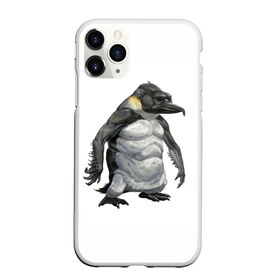 Чехол для iPhone 11 Pro матовый с принтом Пингвинопитек в Екатеринбурге, Силикон |  | лженаука | пингвин