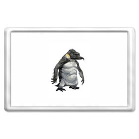 Магнит 45*70 с принтом Пингвинопитек в Екатеринбурге, Пластик | Размер: 78*52 мм; Размер печати: 70*45 | лженаука | пингвин