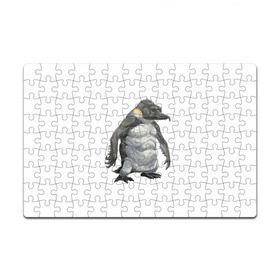 Пазл магнитный 126 элементов с принтом Пингвинопитек в Екатеринбурге, полимерный материал с магнитным слоем | 126 деталей, размер изделия —  180*270 мм | лженаука | пингвин