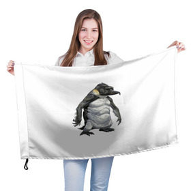 Флаг 3D с принтом Пингвинопитек в Екатеринбурге, 100% полиэстер | плотность ткани — 95 г/м2, размер — 67 х 109 см. Принт наносится с одной стороны | лженаука | пингвин