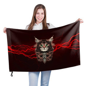 Флаг 3D с принтом Electro cat в Екатеринбурге, 100% полиэстер | плотность ткани — 95 г/м2, размер — 67 х 109 см. Принт наносится с одной стороны | cat | взгляд | кот | кот хипстер | котёнок | котятки | кошка | молния | мордочка | разряд | электричество