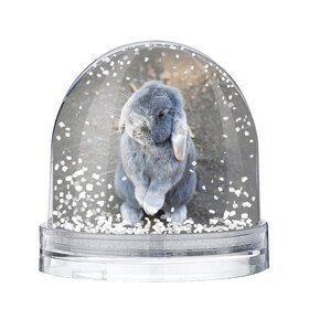 Водяной шар с принтом Кролик в Екатеринбурге, Пластик | Изображение внутри шара печатается на глянцевой фотобумаге с двух сторон | грызун | животные | заяц | кролик | мордочка | природа | пушистый | уши