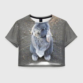 Женская футболка 3D укороченная с принтом Кролик в Екатеринбурге, 100% полиэстер | круглая горловина, длина футболки до линии талии, рукава с отворотами | грызун | животные | заяц | кролик | мордочка | природа | пушистый | уши