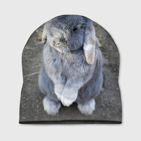 Шапка 3D с принтом Кролик в Екатеринбурге, 100% полиэстер | универсальный размер, печать по всей поверхности изделия | грызун | животные | заяц | кролик | мордочка | природа | пушистый | уши