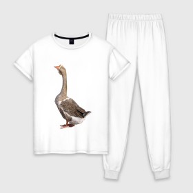 Женская пижама хлопок с принтом Gus power в Екатеринбурге, 100% хлопок | брюки и футболка прямого кроя, без карманов, на брюках мягкая резинка на поясе и по низу штанин | белый | гуси | животные | птицы