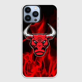 Чехол для iPhone 13 Pro Max с принтом Angry bull в Екатеринбурге,  |  | 3d | angry bull | in fire | бык | в огне | дым | животные | мощь | огненный | огонь | пламя | пожар | сила | стихия