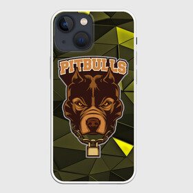 Чехол для iPhone 13 mini с принтом Pitbulls в Екатеринбурге,  |  | dog | pitbulls | абстракция | геометрия | животные | собака | треугольники | цепь