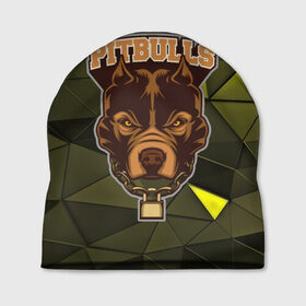 Шапка 3D с принтом Pitbulls в Екатеринбурге, 100% полиэстер | универсальный размер, печать по всей поверхности изделия | dog | pitbulls | абстракция | геометрия | животные | собака | треугольники | цепь