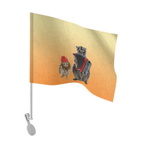 Флаг для автомобиля с принтом Енот, сова и аккордион в Екатеринбурге, 100% полиэстер | Размер: 30*21 см | животные | музыка