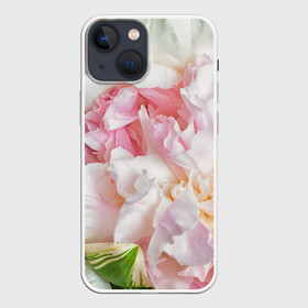 Чехол для iPhone 13 mini с принтом Пион в Екатеринбурге,  |  | лето | нежность | цветы