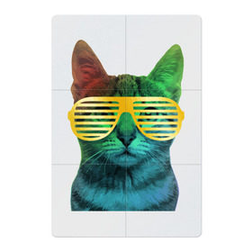 Магнитный плакат 2Х3 с принтом Кот в очках в Екатеринбурге, Полимерный материал с магнитным слоем | 6 деталей размером 9*9 см | cat | kitty | space | животные | космос | кот | котенок | кошка | очки | радуга | цвет
