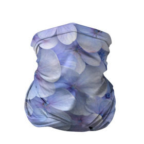 Бандана-труба 3D с принтом Гортензия голубая в Екатеринбурге, 100% полиэстер, ткань с особыми свойствами — Activecool | плотность 150‒180 г/м2; хорошо тянется, но сохраняет форму | Тематика изображения на принте: hydrangea | лето | нежность | незабудка | цветы