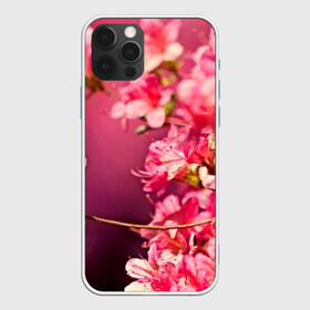 Чехол для iPhone 12 Pro Max с принтом Сакура в Екатеринбурге, Силикон |  | 3d | flower | nature | pink | sakura | весна | деревья | природа | розовый | сакура | цветы | япония