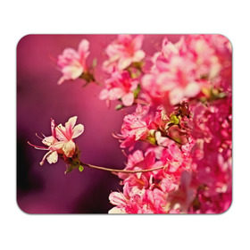 Коврик прямоугольный с принтом Сакура в Екатеринбурге, натуральный каучук | размер 230 х 185 мм; запечатка лицевой стороны | Тематика изображения на принте: 3d | flower | nature | pink | sakura | весна | деревья | природа | розовый | сакура | цветы | япония