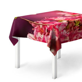 Скатерть 3D с принтом Сакура в Екатеринбурге, 100% полиэстер (ткань не мнется и не растягивается) | Размер: 150*150 см | 3d | flower | nature | pink | sakura | весна | деревья | природа | розовый | сакура | цветы | япония