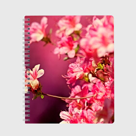 Тетрадь с принтом Сакура в Екатеринбурге, 100% бумага | 48 листов, плотность листов — 60 г/м2, плотность картонной обложки — 250 г/м2. Листы скреплены сбоку удобной пружинной спиралью. Уголки страниц и обложки скругленные. Цвет линий — светло-серый
 | Тематика изображения на принте: 3d | flower | nature | pink | sakura | весна | деревья | природа | розовый | сакура | цветы | япония