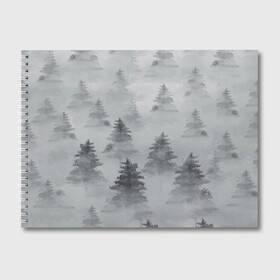 Альбом для рисования с принтом Туманный лес в Екатеринбурге, 100% бумага
 | матовая бумага, плотность 200 мг. | бор | вечер | деревья | елка | еловый | ель | загадочный | земля | зима | лес | мрачный | необычный | природа | серый | сибирь | снег | тайга | туман | хвойный