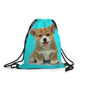 Рюкзак-мешок 3D с принтом Корги в Екатеринбурге, 100% полиэстер | плотность ткани — 200 г/м2, размер — 35 х 45 см; лямки — толстые шнурки, застежка на шнуровке, без карманов и подкладки | Тематика изображения на принте: corgy | dog | korgi | puppy | вельш корги | кардиган | коржик | пемброк | собака | щенок