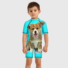 Детский купальный костюм 3D с принтом Корги в Екатеринбурге, Полиэстер 85%, Спандекс 15% | застежка на молнии на спине | corgy | dog | korgi | puppy | вельш корги | кардиган | коржик | пемброк | собака | щенок
