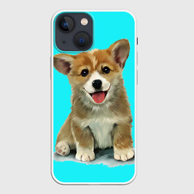 Чехол для iPhone 13 mini с принтом Корги в Екатеринбурге,  |  | corgy | dog | korgi | puppy | вельш корги | кардиган | коржик | пемброк | собака | щенок
