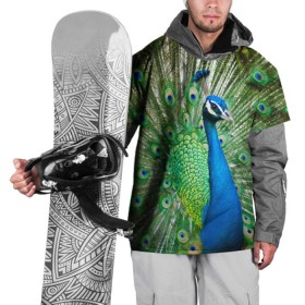 Накидка на куртку 3D с принтом Павлин в Екатеринбурге, 100% полиэстер |  | Тематика изображения на принте: павлин | перо