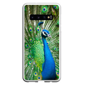 Чехол для Samsung Galaxy S10 с принтом Павлин в Екатеринбурге, Силикон | Область печати: задняя сторона чехла, без боковых панелей | Тематика изображения на принте: павлин | перо