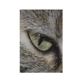 Обложка для паспорта матовая кожа с принтом Кошачий глаз в Екатеринбурге, натуральная матовая кожа | размер 19,3 х 13,7 см; прозрачные пластиковые крепления | 