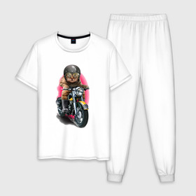 Мужская пижама хлопок с принтом Кот мотоциклист в Екатеринбурге, 100% хлопок | брюки и футболка прямого кроя, без карманов, на брюках мягкая резинка на поясе и по низу штанин
 | Тематика изображения на принте: moto | киса | кот | котэ | мото | мотоцикл | очки | шлем