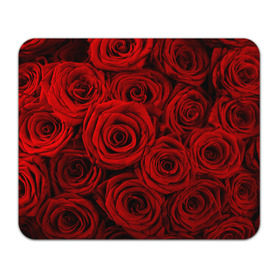 Коврик прямоугольный с принтом Красные розы в Екатеринбурге, натуральный каучук | размер 230 х 185 мм; запечатка лицевой стороны | букет | красный | розы | цветы