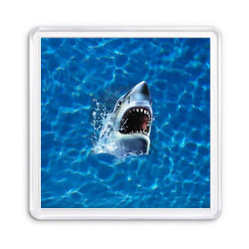 Магнит 55*55 с принтом Пасть акулы в Екатеринбурге, Пластик | Размер: 65*65 мм; Размер печати: 55*55 мм | акула | атака | белая | брызги | вода | волны | зубы | капли | море | океан | опасность | синяя | челюсти | эффект