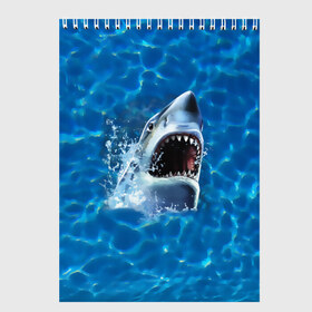 Скетчбук с принтом Пасть акулы в Екатеринбурге, 100% бумага
 | 48 листов, плотность листов — 100 г/м2, плотность картонной обложки — 250 г/м2. Листы скреплены сверху удобной пружинной спиралью | акула | атака | белая | брызги | вода | волны | зубы | капли | море | океан | опасность | синяя | челюсти | эффект