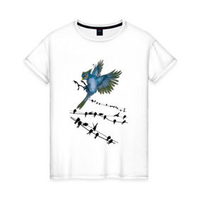 Женская футболка хлопок с принтом Ласточка в Екатеринбурге, 100% хлопок | прямой крой, круглый вырез горловины, длина до линии бедер, слегка спущенное плечо | весна | колибри | крылья | мызыка | ноты | пение | перо | перышко | перья