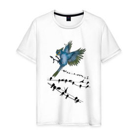 Мужская футболка хлопок с принтом Ласточка в Екатеринбурге, 100% хлопок | прямой крой, круглый вырез горловины, длина до линии бедер, слегка спущенное плечо. | весна | колибри | крылья | мызыка | ноты | пение | перо | перышко | перья