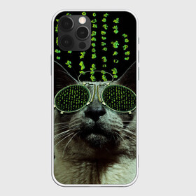 Чехол для iPhone 12 Pro Max с принтом Кот в матрице в Екатеринбурге, Силикон |  | Тематика изображения на принте: кот | матрица | очки