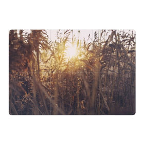 Магнитный плакат 3Х2 с принтом Солнце во ржи в Екатеринбурге, Полимерный материал с магнитным слоем | 6 деталей размером 9*9 см | восход | закат | лучи | поле | природа | растения | рож | солнце | тепло