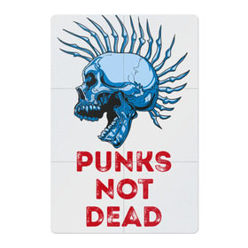 Магнитный плакат 2Х3 с принтом Punks not dead в Екатеринбурге, Полимерный материал с магнитным слоем | 6 деталей размером 9*9 см | Тематика изображения на принте: music | punk | rock | skull | музыка | панк | рок | череп | черепа