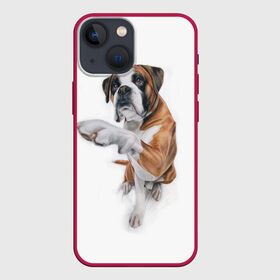 Чехол для iPhone 13 mini с принтом Боксер в Екатеринбурге,  |  | Тематика изображения на принте: боксер | друг | дружба | животное | пес | собака