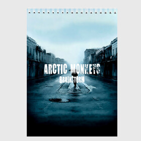 Скетчбук с принтом Arctic Monkeys brainstorm в Екатеринбурге, 100% бумага
 | 48 листов, плотность листов — 100 г/м2, плотность картонной обложки — 250 г/м2. Листы скреплены сверху удобной пружинной спиралью | алекс тёрнер | арктик | арктические мартышки | гаражный | группа | джейми кук | инди рок | манкис | музыка | мэтт хелдер | ник о мэлли | обезьяна | постпанк ривайвл | психоделический | рок