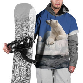 Накидка на куртку 3D с принтом Арктика в Екатеринбурге, 100% полиэстер |  | Тематика изображения на принте: animals | bear | ice | nature | polar bear | power | travel | белый медведь | животные | лёд | медведь | природа | путешествия | сила | снег