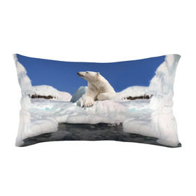 Подушка 3D антистресс с принтом Арктика в Екатеринбурге, наволочка — 100% полиэстер, наполнитель — вспененный полистирол | состоит из подушки и наволочки на молнии | animals | bear | ice | nature | polar bear | power | travel | белый медведь | животные | лёд | медведь | природа | путешествия | сила | снег
