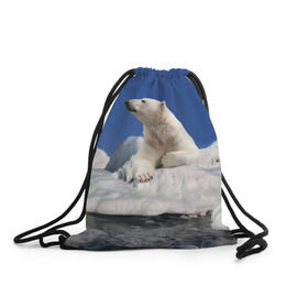 Рюкзак-мешок 3D с принтом Арктика в Екатеринбурге, 100% полиэстер | плотность ткани — 200 г/м2, размер — 35 х 45 см; лямки — толстые шнурки, застежка на шнуровке, без карманов и подкладки | animals | bear | ice | nature | polar bear | power | travel | белый медведь | животные | лёд | медведь | природа | путешествия | сила | снег