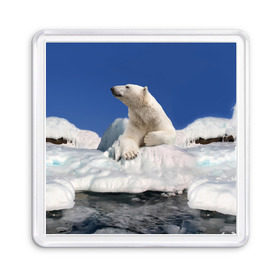 Магнит 55*55 с принтом Арктика в Екатеринбурге, Пластик | Размер: 65*65 мм; Размер печати: 55*55 мм | animals | bear | ice | nature | polar bear | power | travel | белый медведь | животные | лёд | медведь | природа | путешествия | сила | снег